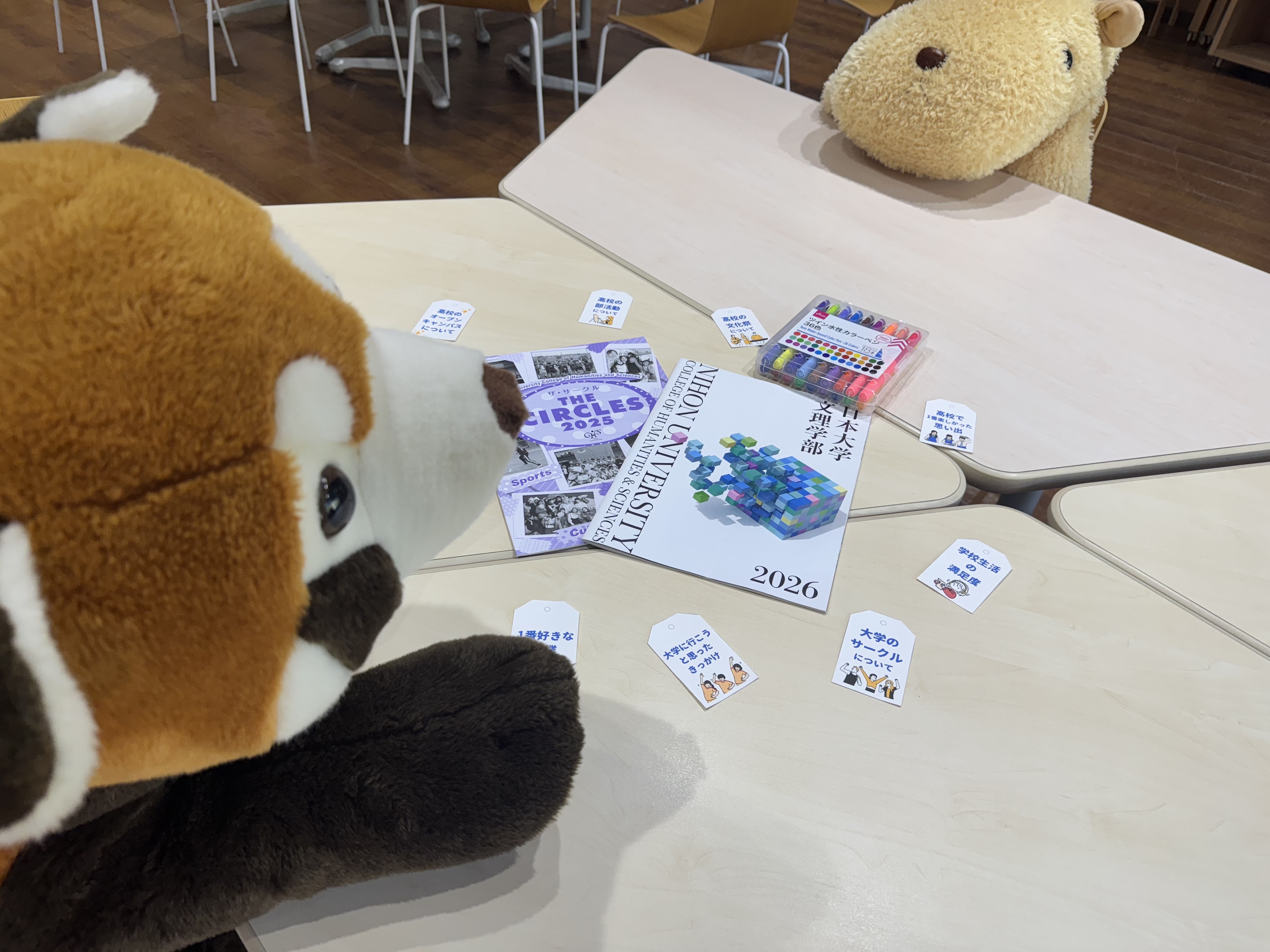 image from 中学生向けキャリアイベント開催